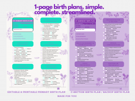 Birth Preferences Plan + Bonus Cesarean C-Section Preferences Plan - Fully Editable Plans - "In Full Bloom" Calming Colors Style